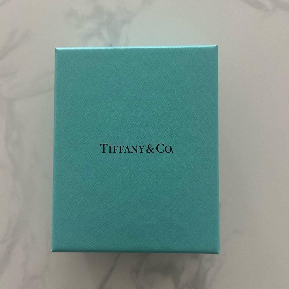 Tiffany & Co. Somerset Mesh Bracelet